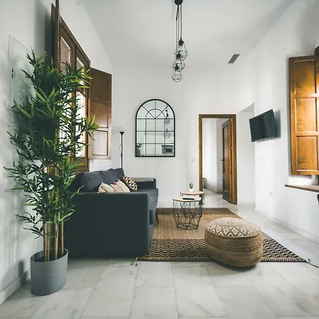 Luxury & New Corredera *